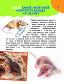 100 тысяч почему. Вопрос-ответ — фото, картинка — 15