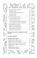 Секреты зелёной ведьмы. Фамильяры, магия стихий, растений и камней — фото, картинка — 4