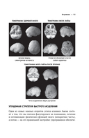 Полюби свой мозг — фото, картинка — 11