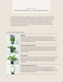 Магия контейнерного сада. Цветочный дизайн террас, веранд, балконов, патио и маленьких садов — фото, картинка — 15