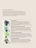 Магия контейнерного сада. Цветочный дизайн террас, веранд, балконов, патио и маленьких садов — фото, картинка — 16