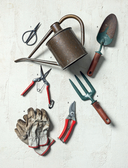 Магия контейнерного сада. Цветочный дизайн террас, веранд, балконов, патио и маленьких садов — фото, картинка — 20