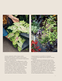 Магия контейнерного сада. Цветочный дизайн террас, веранд, балконов, патио и маленьких садов — фото, картинка — 9