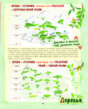 Большой подарок для девочки. Энциклопедия для настоящих девчонок — фото, картинка — 11