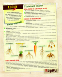 Большой подарок для девочки. Энциклопедия для настоящих девчонок — фото, картинка — 7