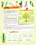 Большой подарок для девочки. Энциклопедия для настоящих девчонок — фото, картинка — 8