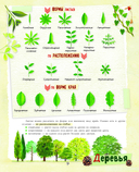 Большой подарок для девочки. Энциклопедия для настоящих девчонок — фото, картинка — 9