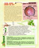 Большой подарок для девочки. Энциклопедия для настоящих девчонок — фото, картинка — 10