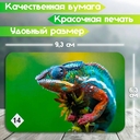 Мемо 