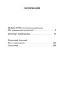 Белые ночи — фото, картинка — 27