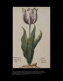 Деньги – вперёд! — фото, картинка — 29