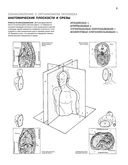 Анатомия человека. Атлас-раскраска — фото, картинка — 15
