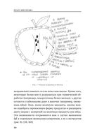 Аллергия и как с ней жить. Руководство для всей семьи — фото, картинка — 24