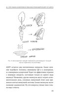 Аллергия и как с ней жить. Руководство для всей семьи — фото, картинка — 27
