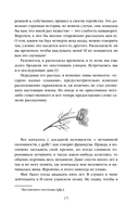 Лесные птицы. Комплект из 5 книг — фото, картинка — 16