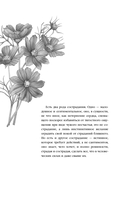 Лесные птицы. Комплект из 5 книг — фото, картинка — 6