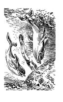 Миллион приключений — фото, картинка — 49