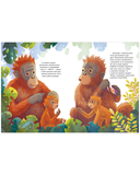 Малыш орангутанг. Приключения в тропиках — фото, картинка — 2