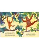 Малыш орангутанг. Приключения в тропиках — фото, картинка — 5