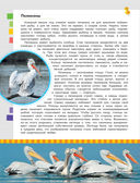 Красная книга России — фото, картинка — 12