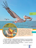 Красная книга России — фото, картинка — 13