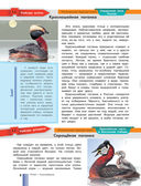 Красная книга России — фото, картинка — 8