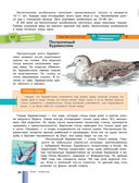 Красная книга России — фото, картинка — 10