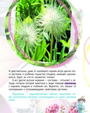 Прострел раскрытый. Растение года Беларуси — фото, картинка — 4