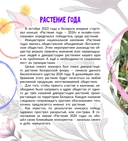 Прострел раскрытый. Растение года Беларуси — фото, картинка — 1