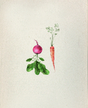 Ты поела? Согревающие рецепты круглый год — фото, картинка — 1