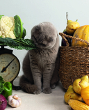 Ты поела? Согревающие рецепты круглый год — фото, картинка — 2