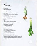 Ты поела? Согревающие рецепты круглый год — фото, картинка — 10