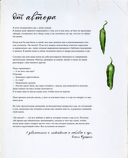 Ты поела? Согревающие рецепты круглый год — фото, картинка — 6