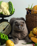 Ты поела? Согревающие рецепты круглый год — фото, картинка — 7