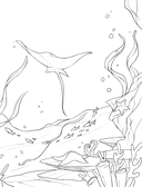 Сказка из подводного царства — фото, картинка — 5