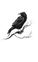 В час ворон — фото, картинка — 1