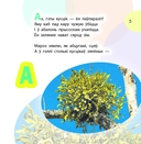 Назавіце расліну — фото, картинка — 3