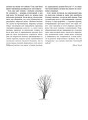 Как рисовать пейзаж — фото, картинка — 4