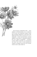 Нетерпение сердца — фото, картинка — 5