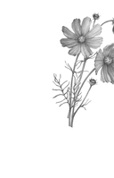 Нетерпение сердца — фото, картинка — 6