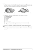 Биология. 8 класс. Сборник контрольных и самостоятельных работ — фото, картинка — 4
