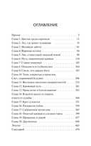 Когда солнце взойдет на западе — фото, картинка — 9