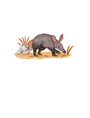 Животные каждый день — фото, картинка — 10