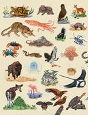 Животные каждый день — фото, картинка — 11