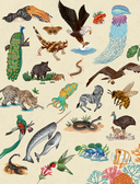 Животные каждый день — фото, картинка — 12