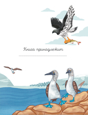 Животные каждый день — фото, картинка — 16