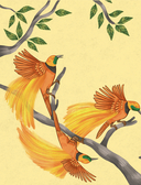 Животные каждый день — фото, картинка — 17