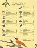 Животные каждый день — фото, картинка — 18