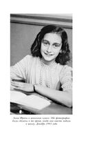 Мои встречи с Анной Франк — фото, картинка — 22