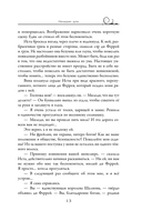 Паладин душ — фото, картинка — 12